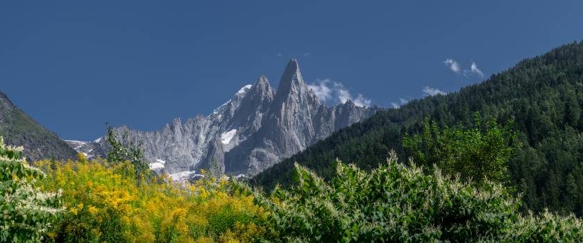 Aiguille Verte