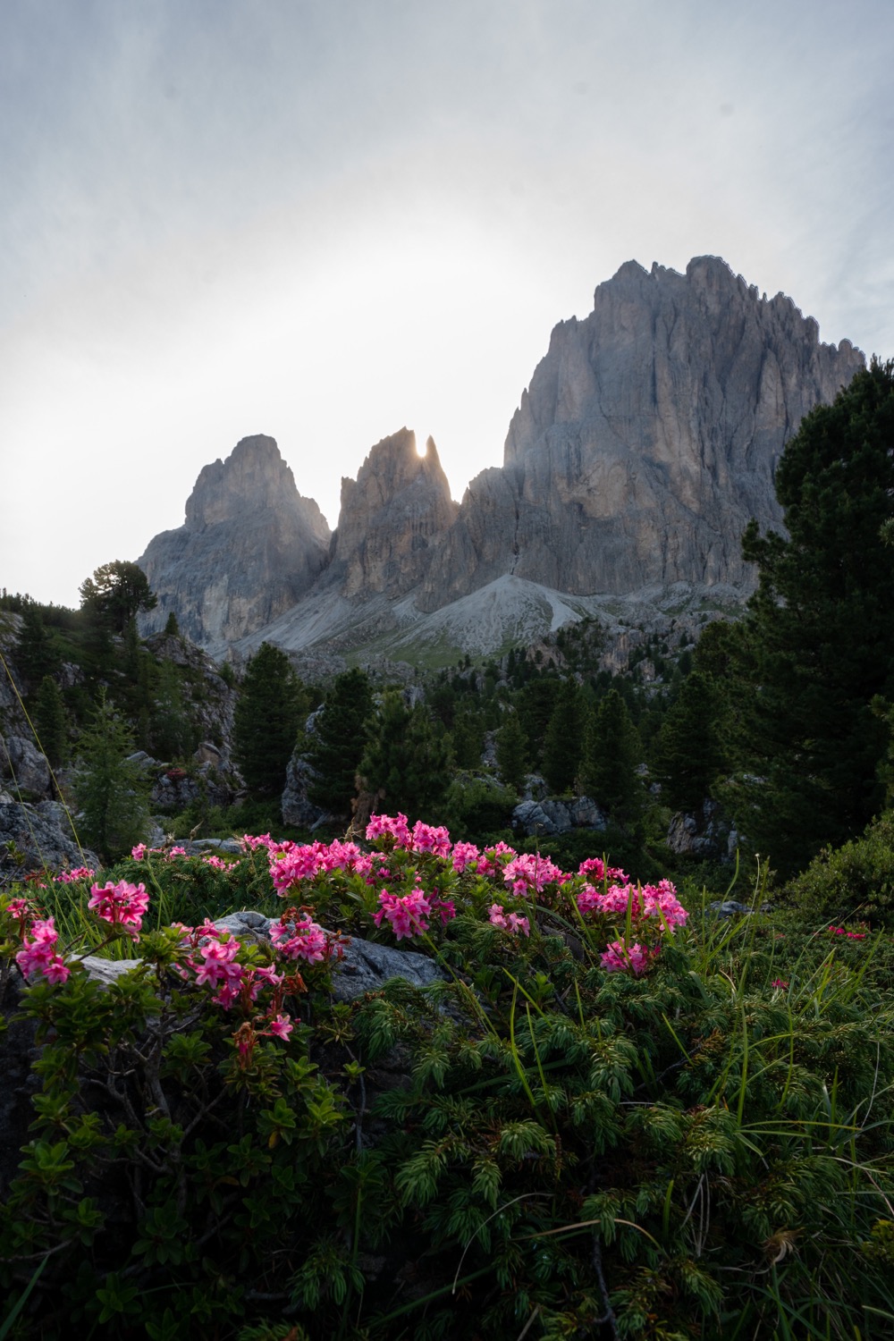 Langkofel evening
