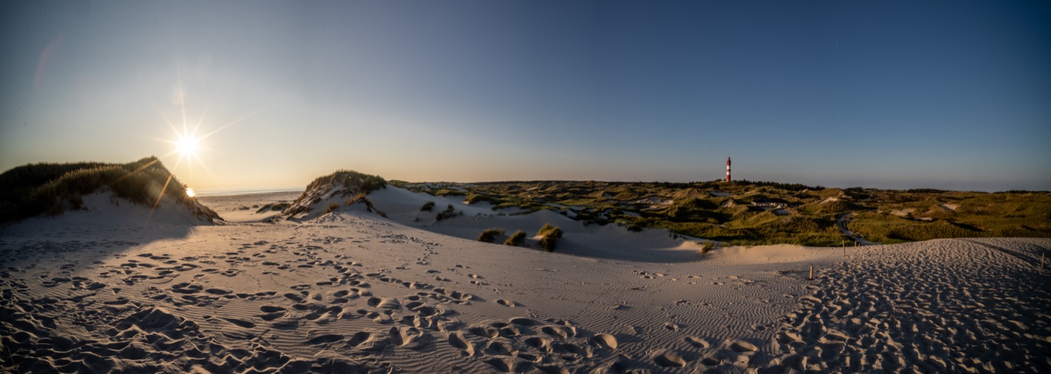 Girls admiring the evening sun