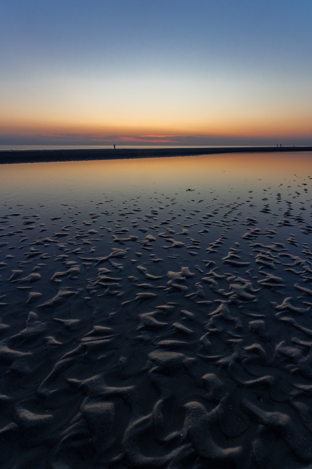 Seabed at low tide after sunset