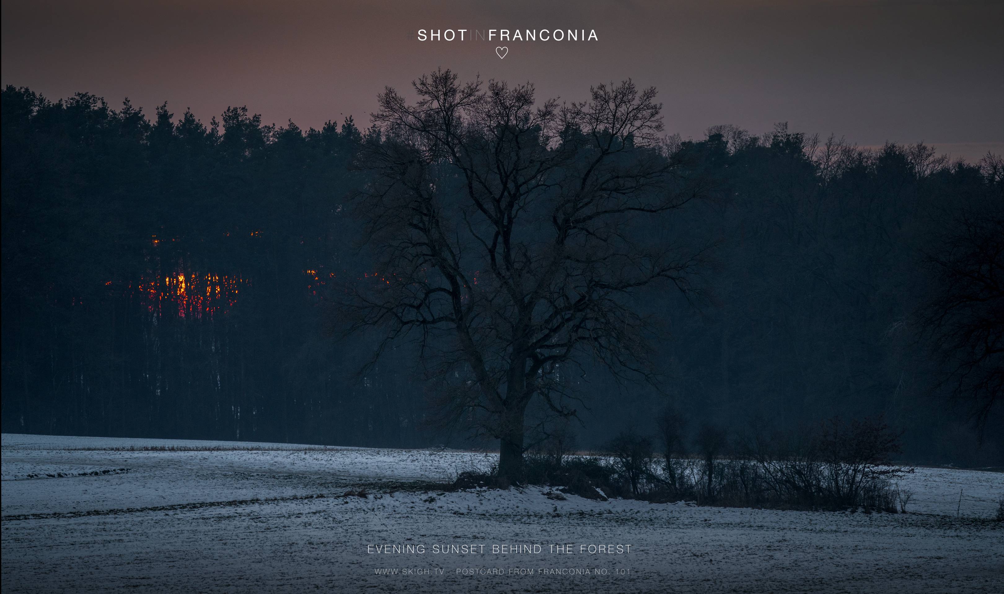 Evening sunset behind the forest | 1/200s * f5.6 * ISO 500 * 190mm - FE 70-300mm F4.5-5.6 G OSS - Sony α7R III Evening sunset behind the forest