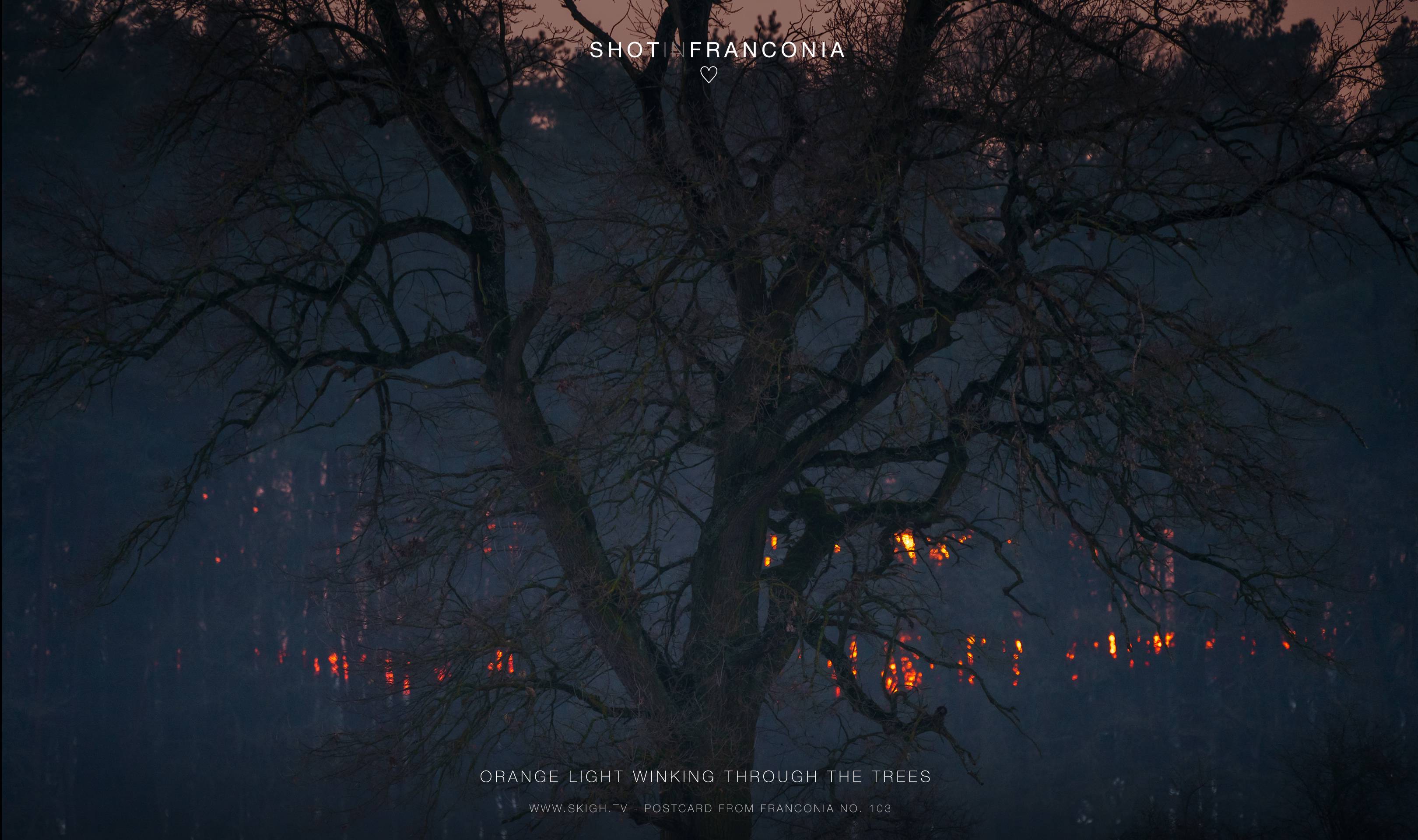 Orange light winking through the trees | 1/320s * f5.6 * ISO 2000 * 300mm - FE 70-300mm F4.5-5.6 G OSS - Sony α7R III Orange light winking through the trees