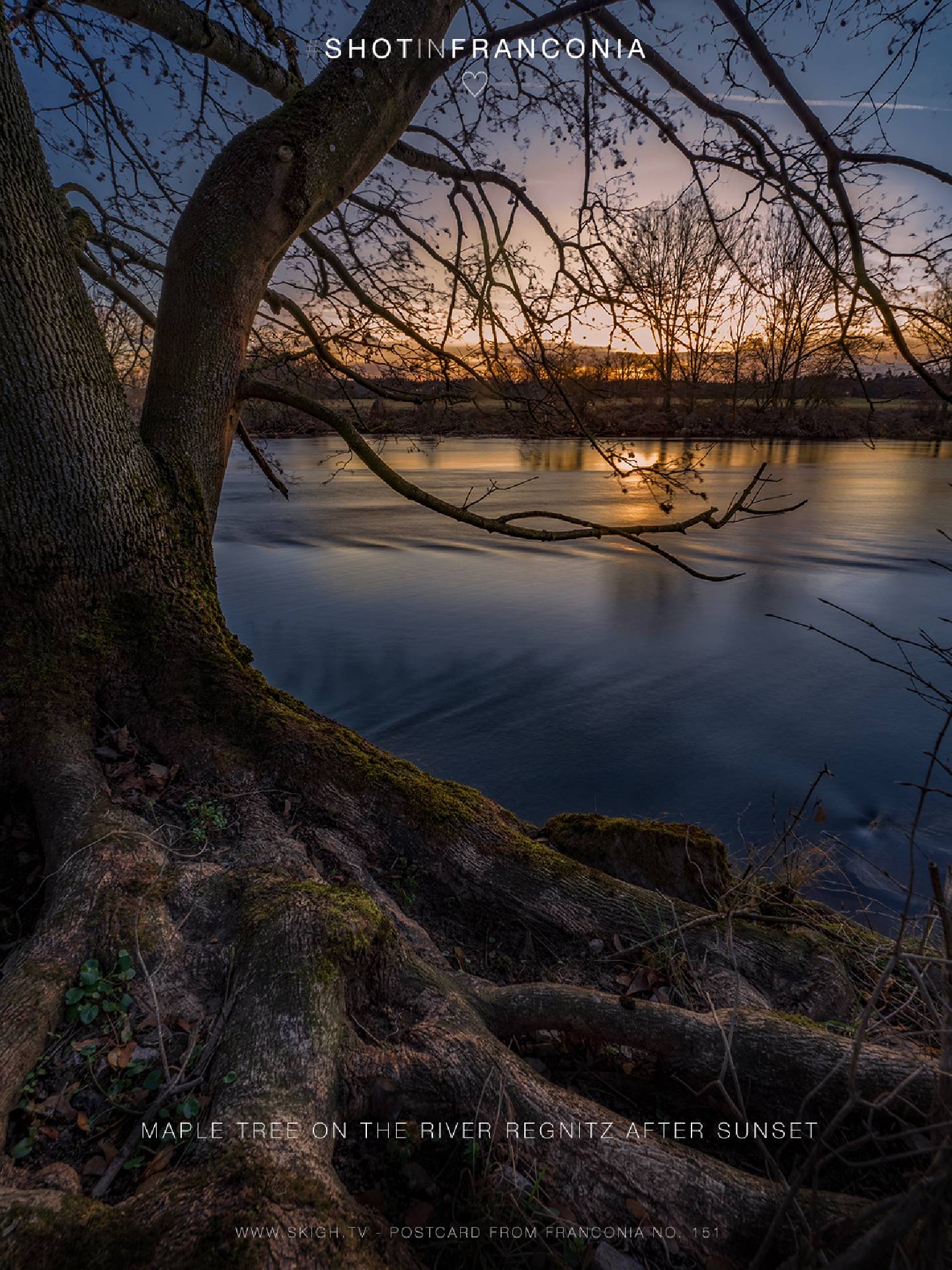 Maple tree on the river Regnitz after sunset | 1/60s * f11 * ISO 500 * 14mm - 14-24mm F2.8 DG DN | Art 019 - Sony α7 III Maple tree on the river Regnitz after sunset