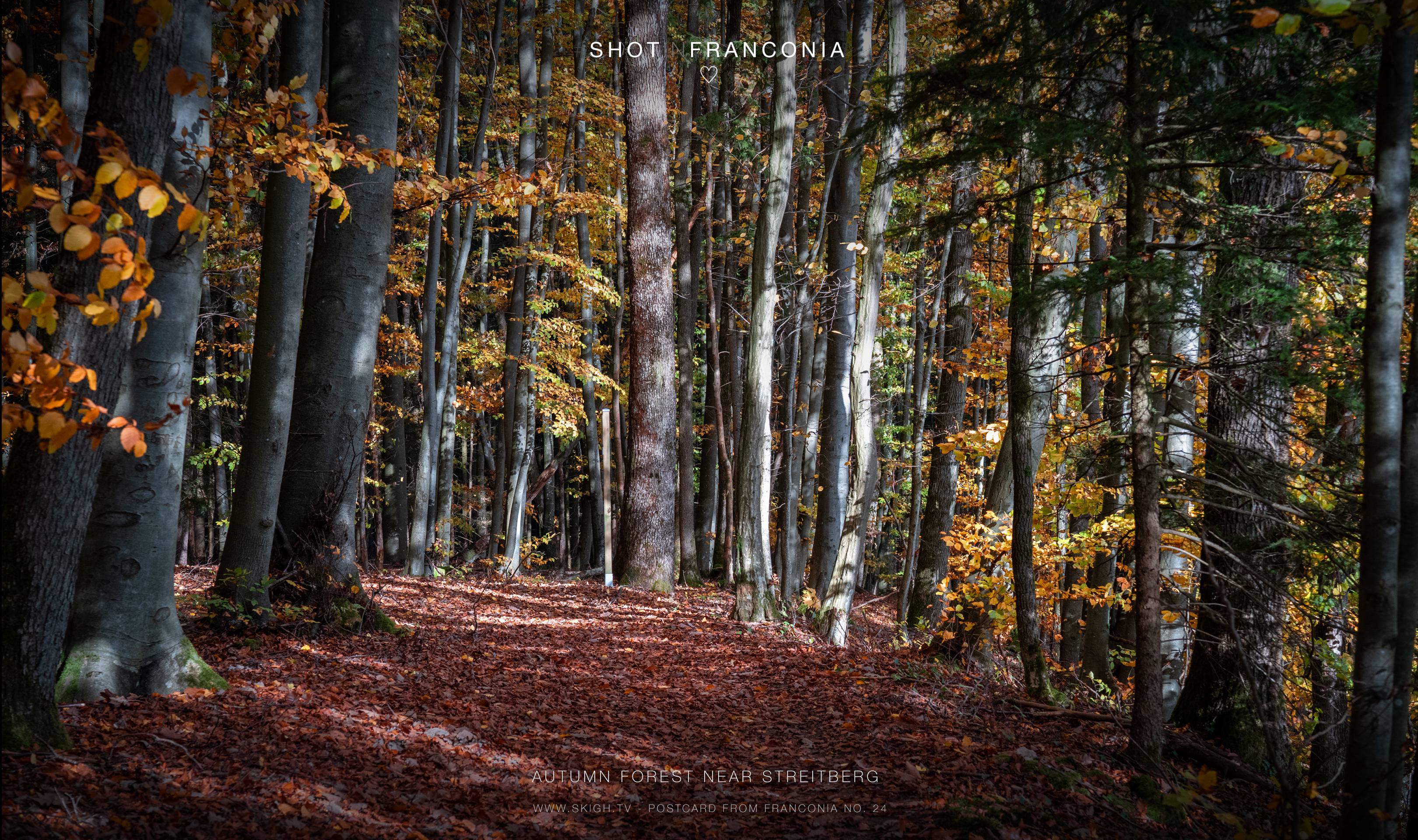 Autumn forest near Streitberg