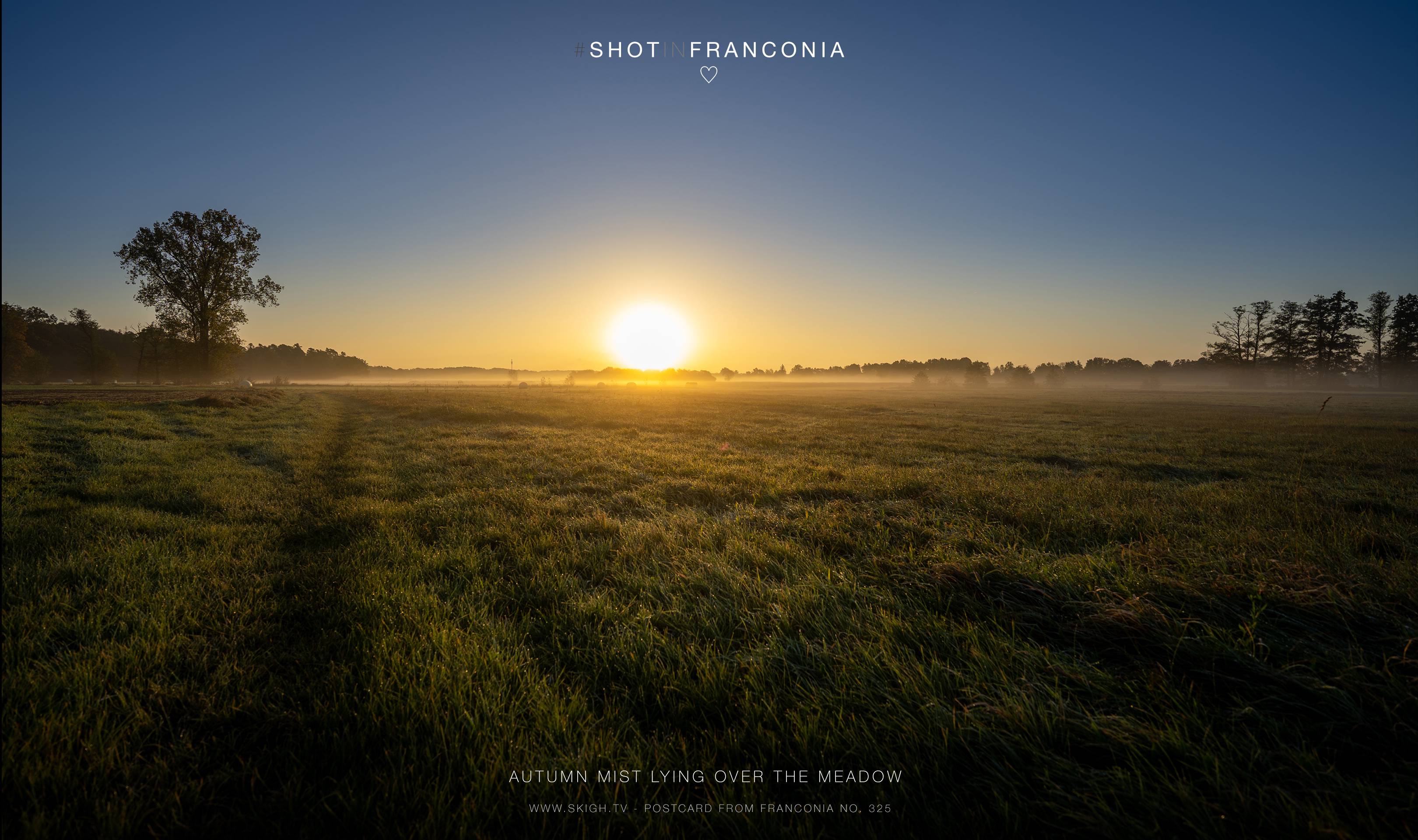 Autumn mist lying over the meadow | 1/1600s * f2.8 * ISO 100 * 14mm - 14-24mm F2.8 DG DN | Art 019 - Sony α7 III Autumn mist lying over the meadow