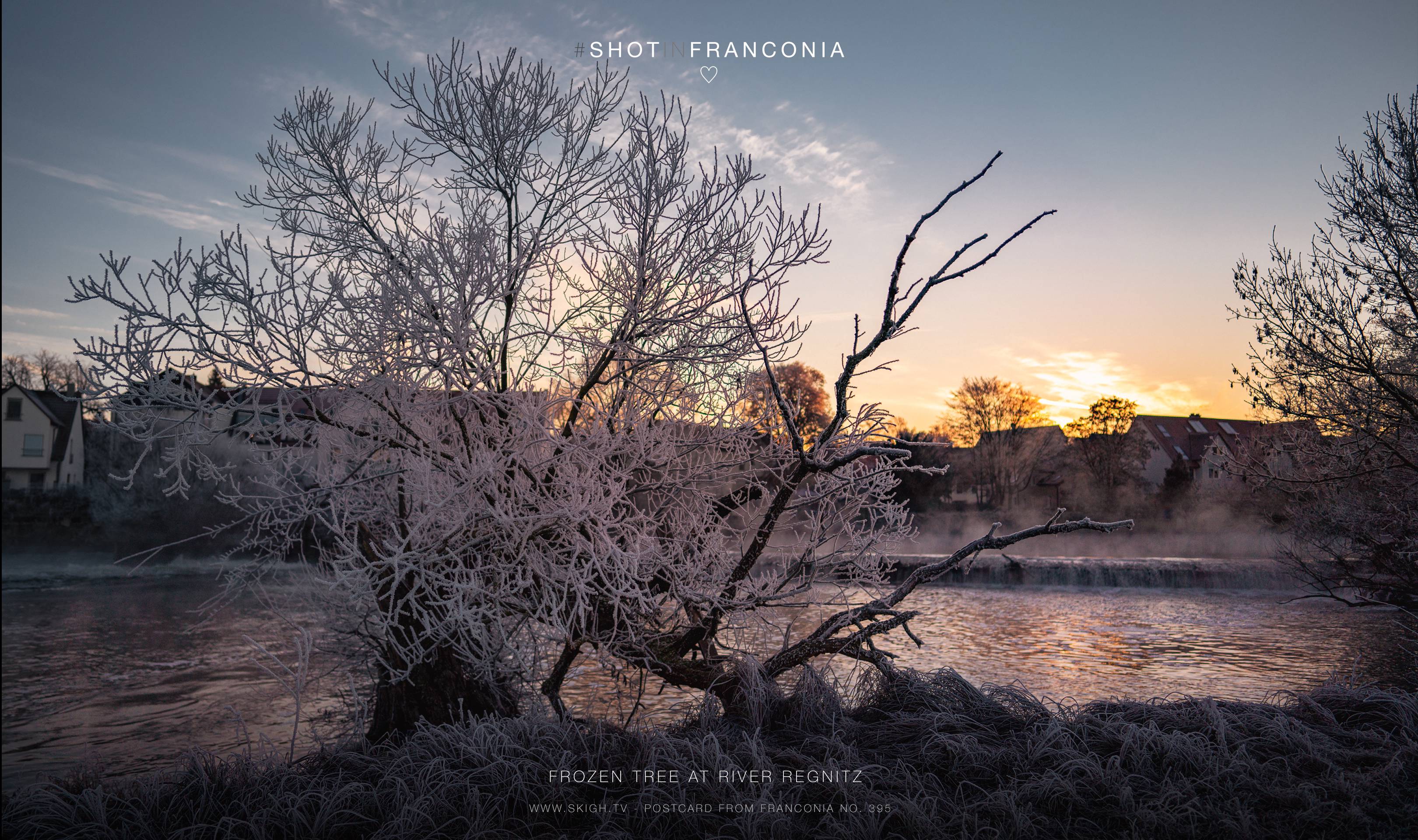 Frozen tree at river Regnitz | 1/6400s * f1.4 * ISO 100 * 24mm - FE 24mm F1.4 GM - Sony α7R III Frozen tree at river Regnitz