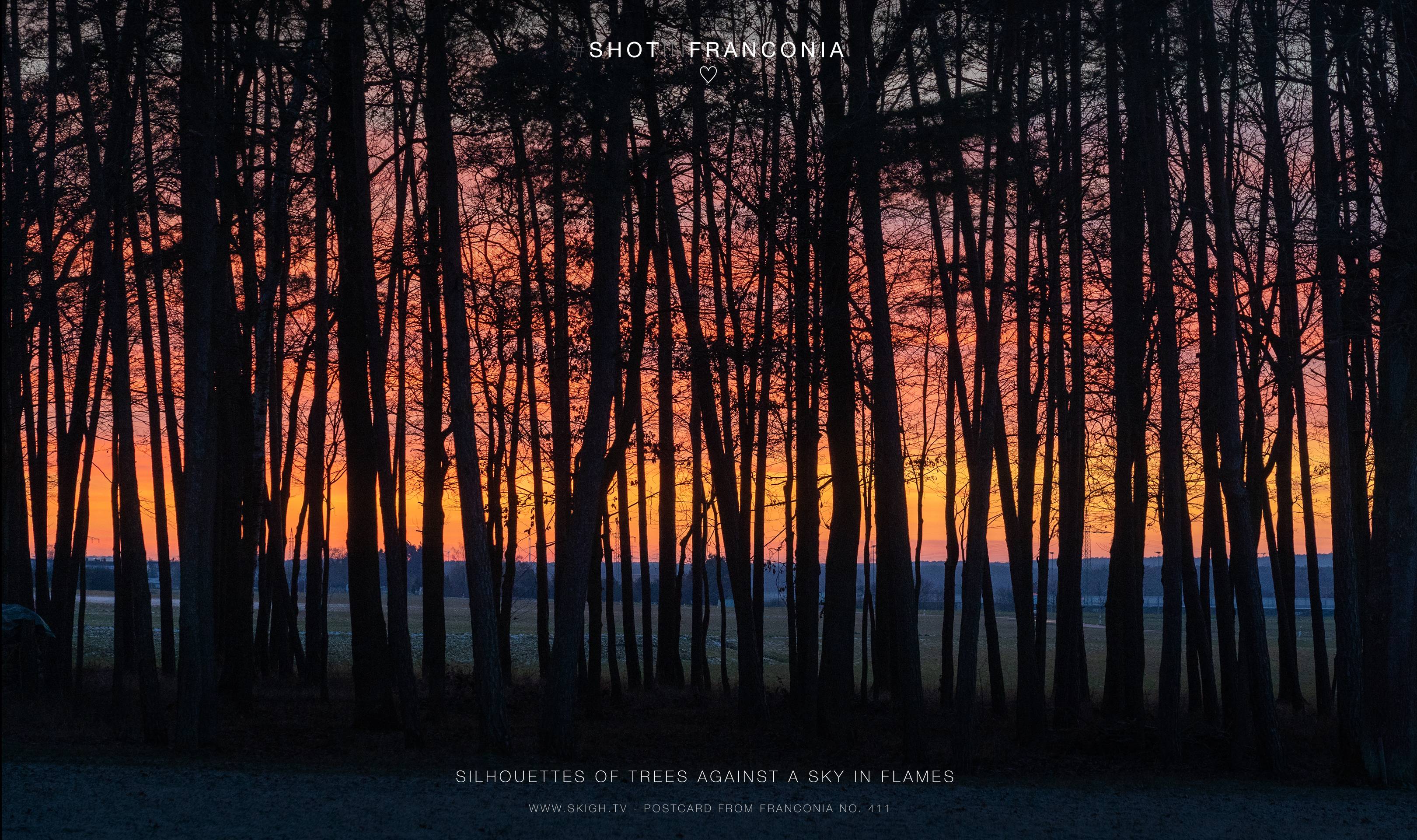 Silhouettes of trees against a sky in flames | 1/60s * f6.3 * ISO 2500 * 105mm - FE 24-105mm F4 G OSS - Sony α7 III Silhouettes of trees against a sky in flames