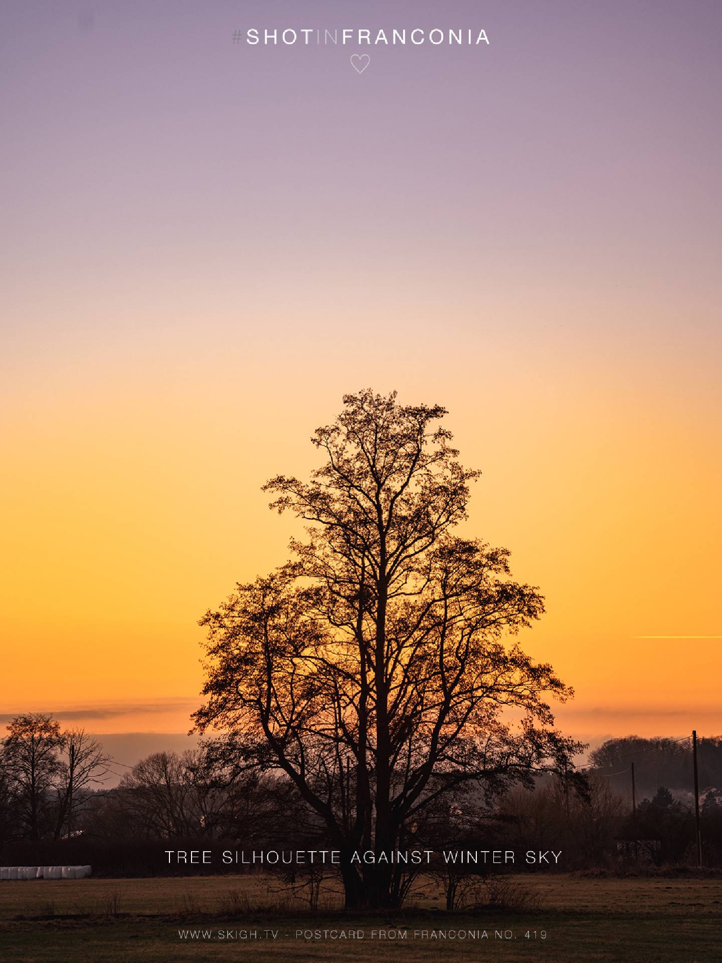 Tree silhouette against winter sky | 1/320s * f5 * ISO 100 * 113mm - FE 70-300mm F4.5-5.6 G OSS - Sony α7R III Tree silhouette against winter sky