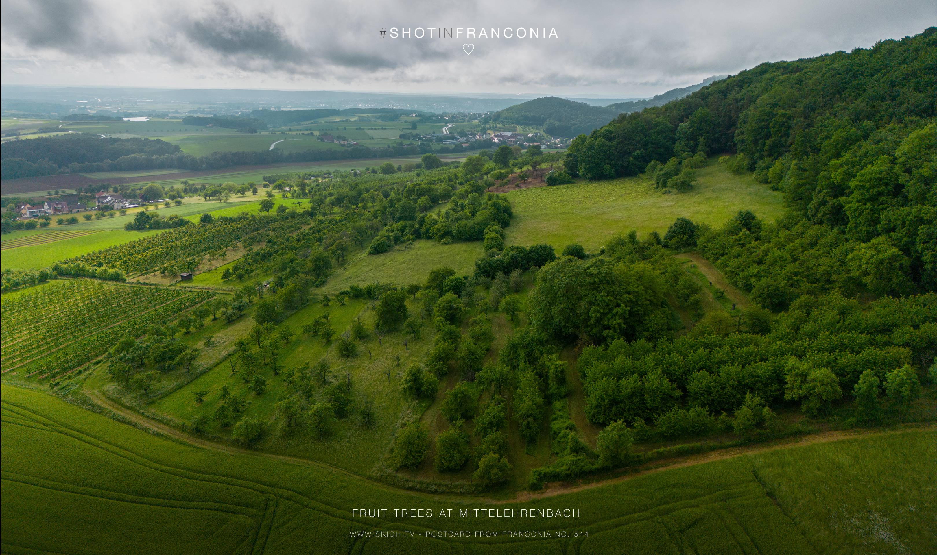 Fruit trees at Mittelehrenbach | 1/4000s * f1.7 * ISO 110 * 7mm - 6.7 mm f/1.7 - DJI Mini 3 pro Fruit trees at Mittelehrenbach