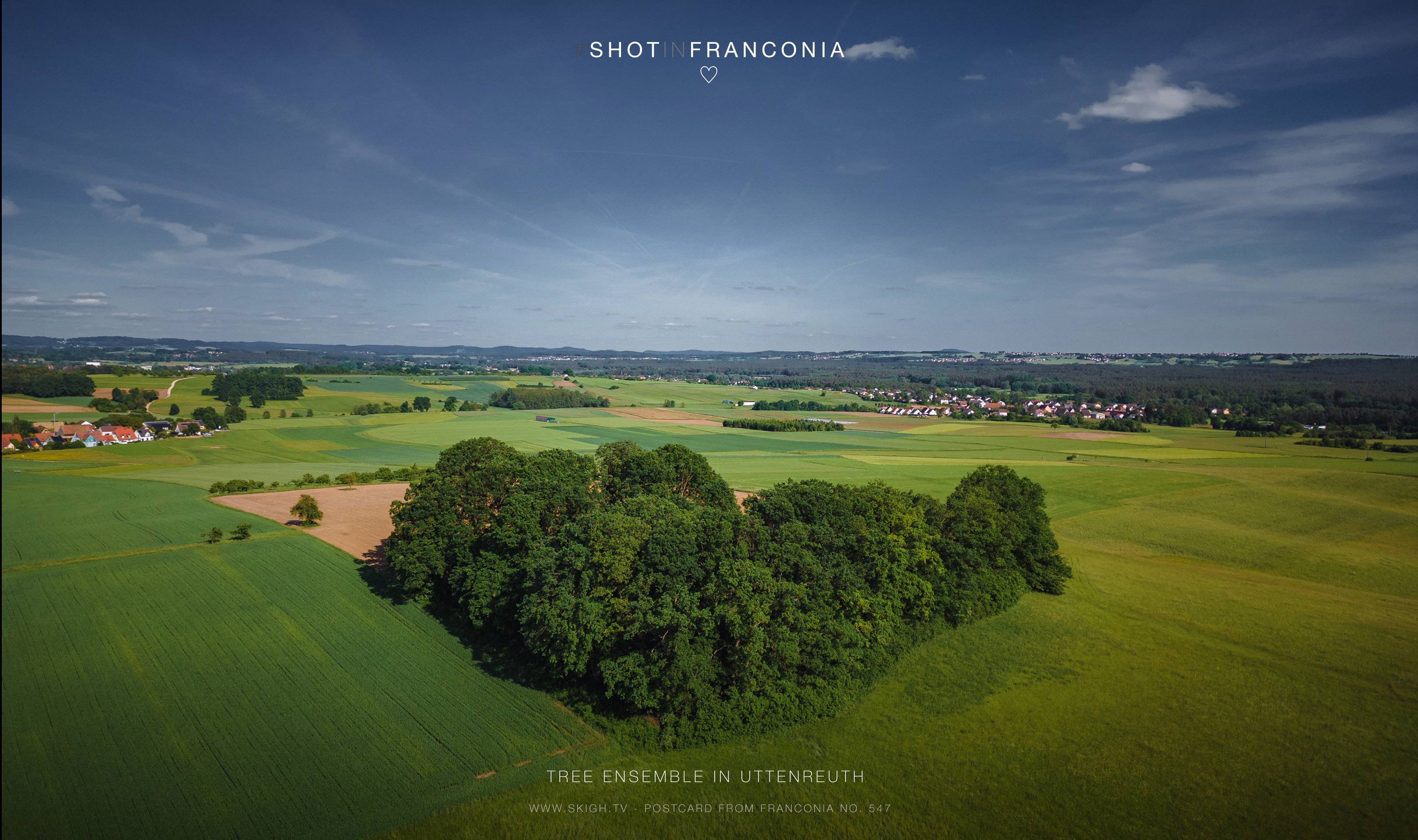 Tree ensemble in Uttenreuth | 1/5000s * f1.7 * ISO 100 * 7mm - 6.7 mm f/1.7 - DJI Mini 3 pro Tree ensemble in Uttenreuth