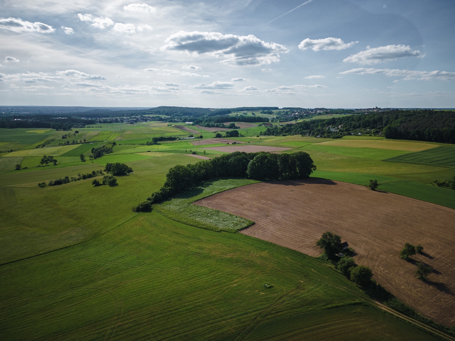 Tree ensemble in Uttenreuth | 1/5000s * f1.7 * ISO 100 * 7mm - 6.7 mm f/1.7 - DJI Mini 3 pro Tree ensemble in Uttenreuth