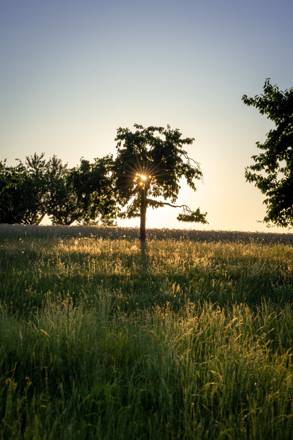 Barn at Marloffstein
