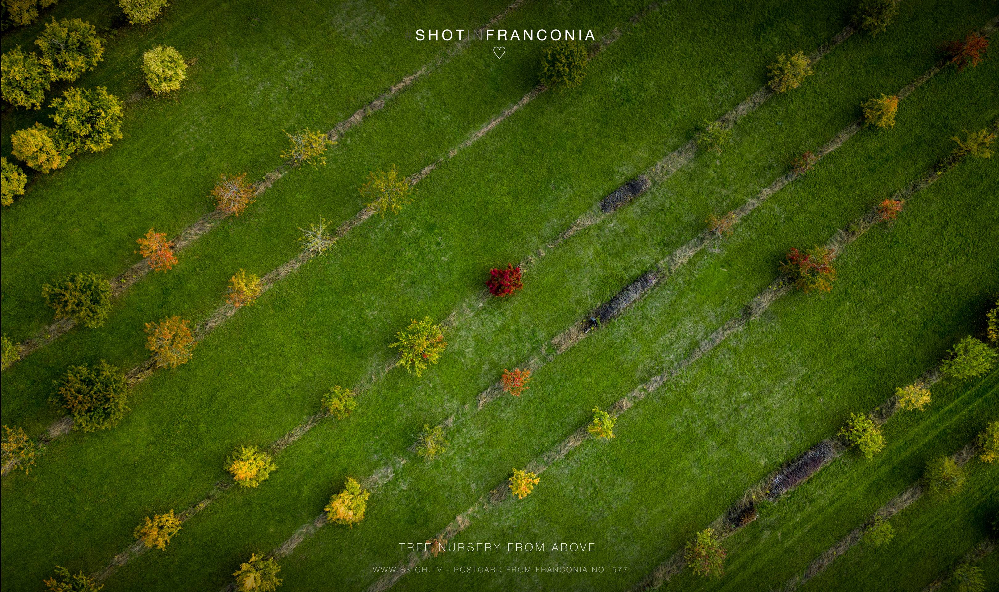 Tree nursery from above | 1/250s * f1.7 * ISO 100 * 7mm - 6.7 mm f/1.7 - DJI Mini 3 pro Tree nursery from above