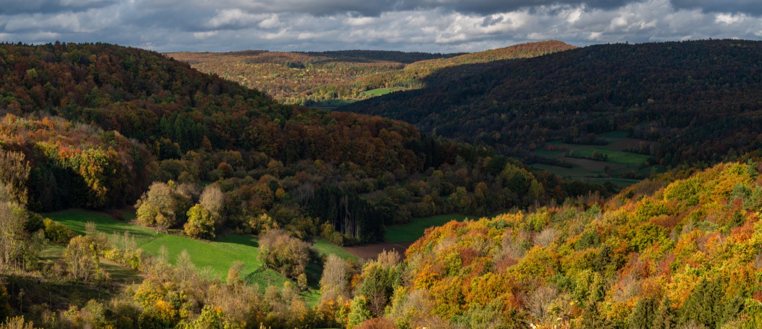 View over Hundshaupten's autumn forests | 1/250s * f5.6 * ISO 200 * 70mm - FE 70-300mm F4.5-5.6 G OSS - Sony α7R III View over Hundshaupten's autumn forests