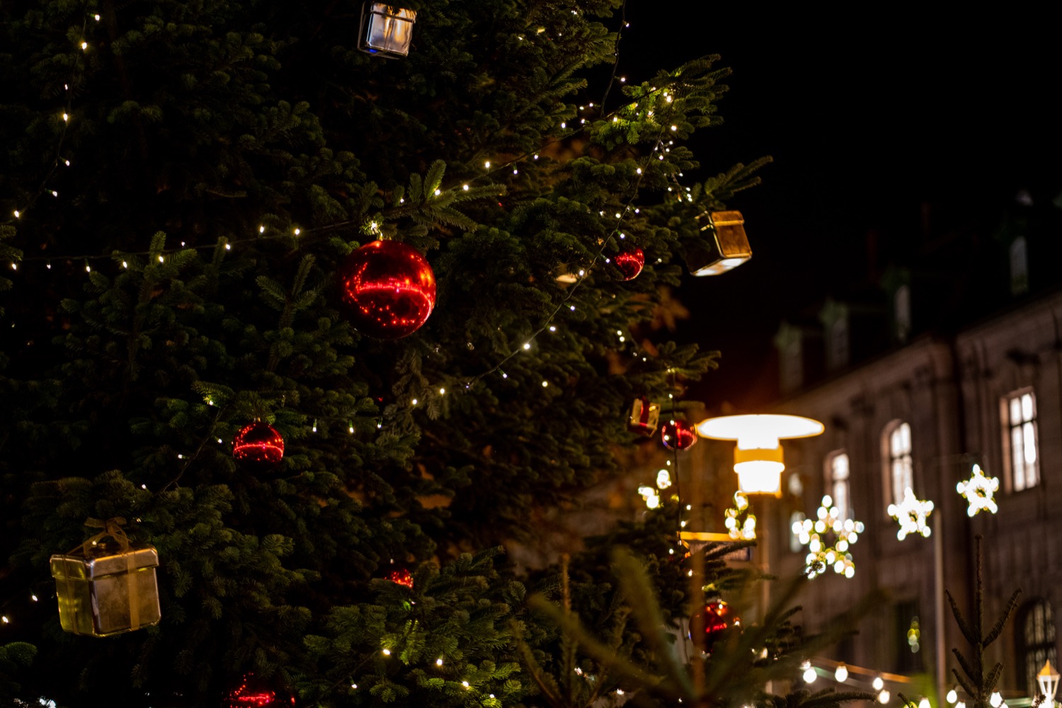 A beautiful second day of christmas | 1/60s * f1.8 * ISO 1000 * 85mm - FE 85mm F1.8 - Sony α7R III A beautiful second day of christmas