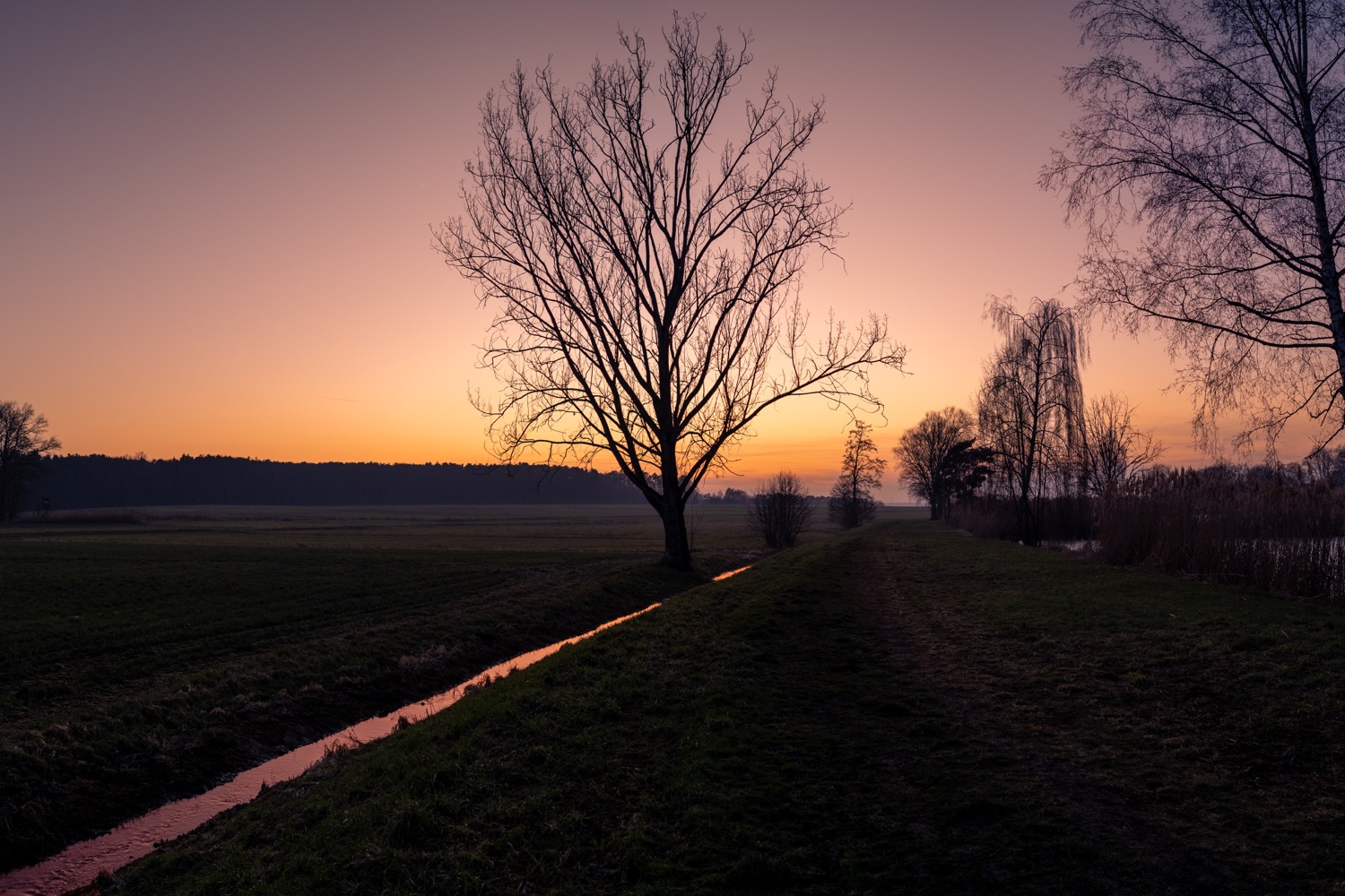After sunset in Igelsdorf | 1/125s * f4.5 * ISO 3200 * 24mm - FE 24mm F1.4 GM - Sony α7 IV After sunset in Igelsdorf