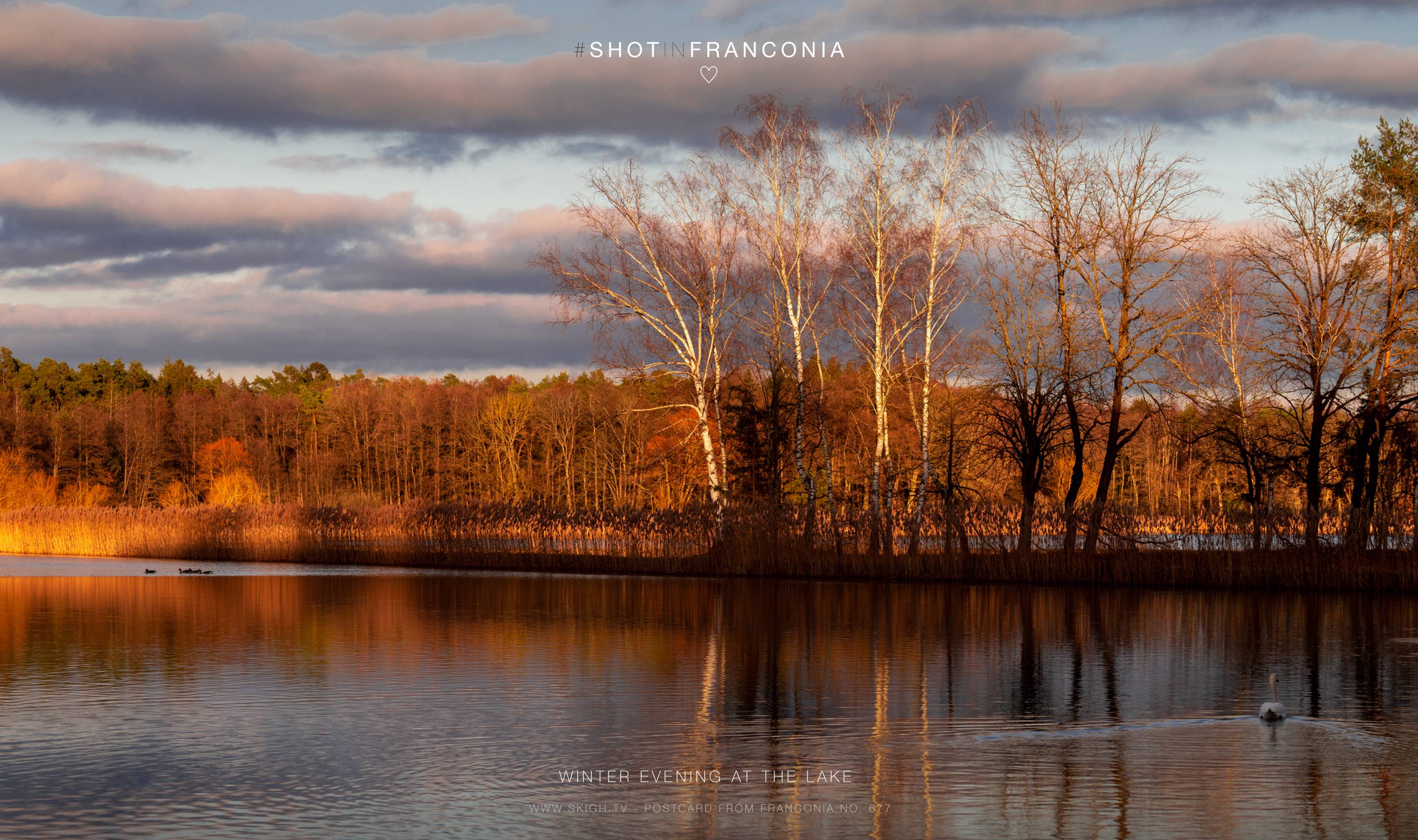Winter evening at the lake | 1/1000s * f5.6 * ISO 400 * 93mm - FE 70-300mm F4.5-5.6 G OSS - Sony α7R III Winter evening at the lake