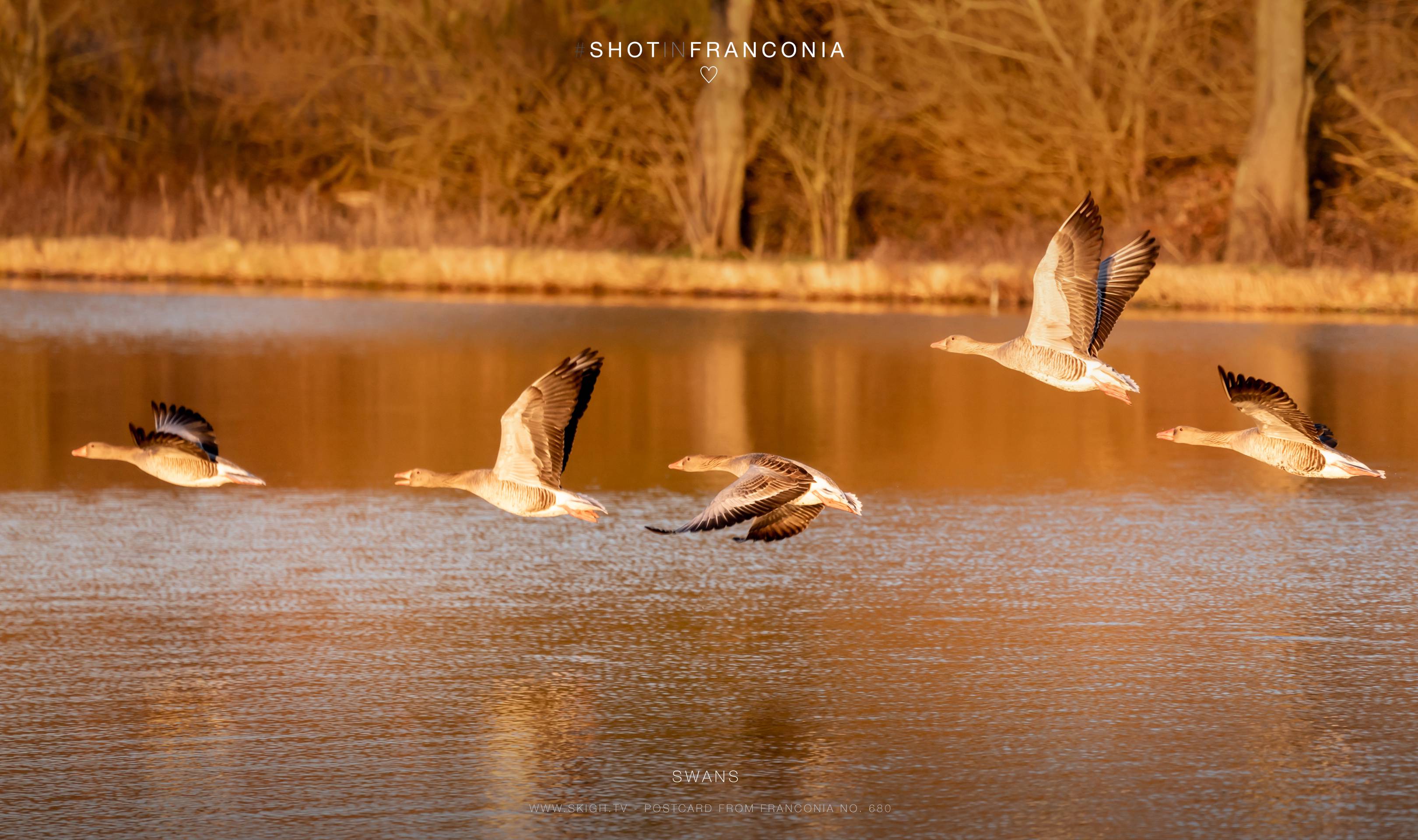 Flight path | 1/1000s * f5.6 * ISO 640 * 300mm - FE 70-300mm F4.5-5.6 G OSS - Sony α7R III Flight path