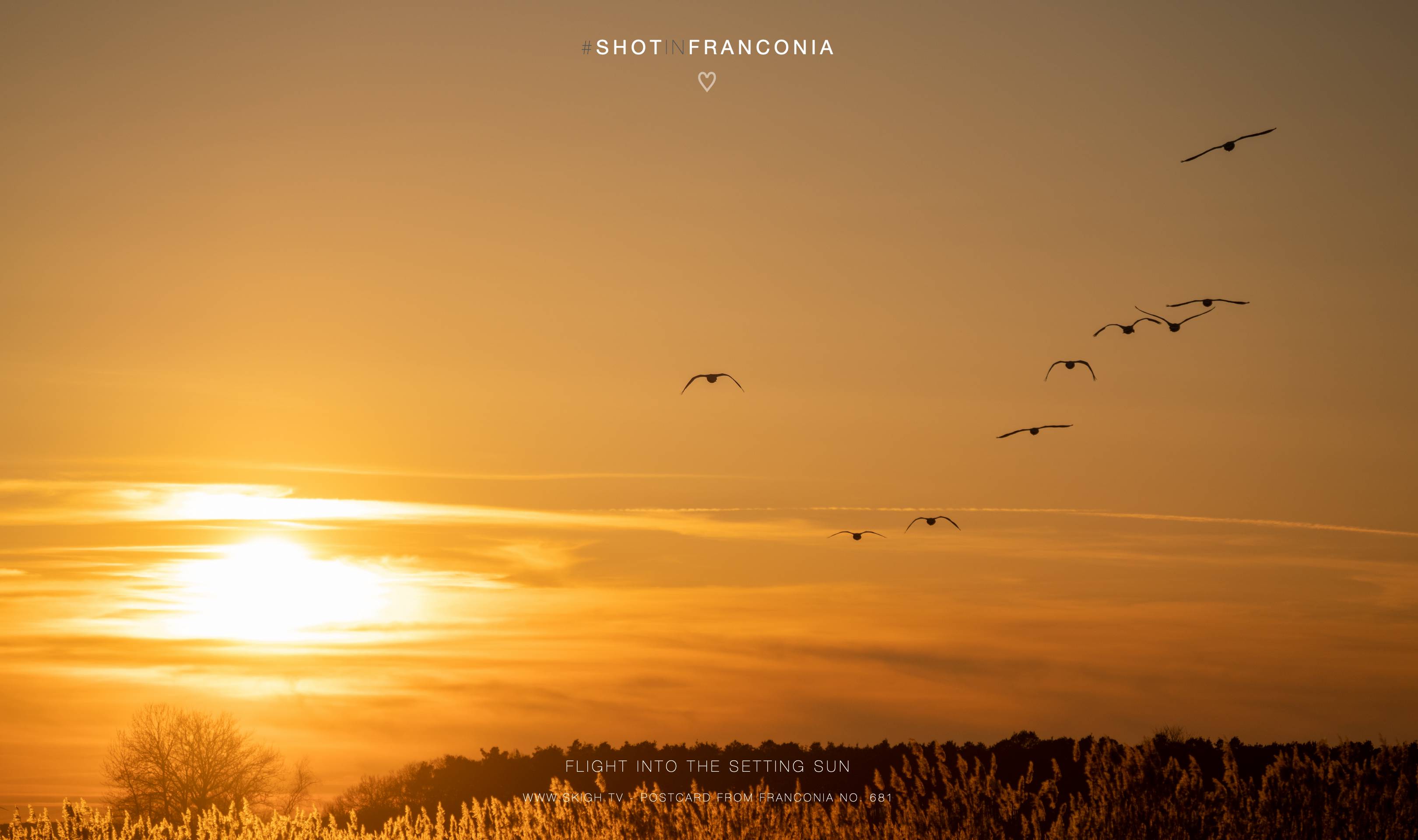 Flight into the setting sun | 1/3200s * f5.6 * ISO 200 * 181mm - FE 70-300mm F4.5-5.6 G OSS - Sony α7R III Flight into the setting sun