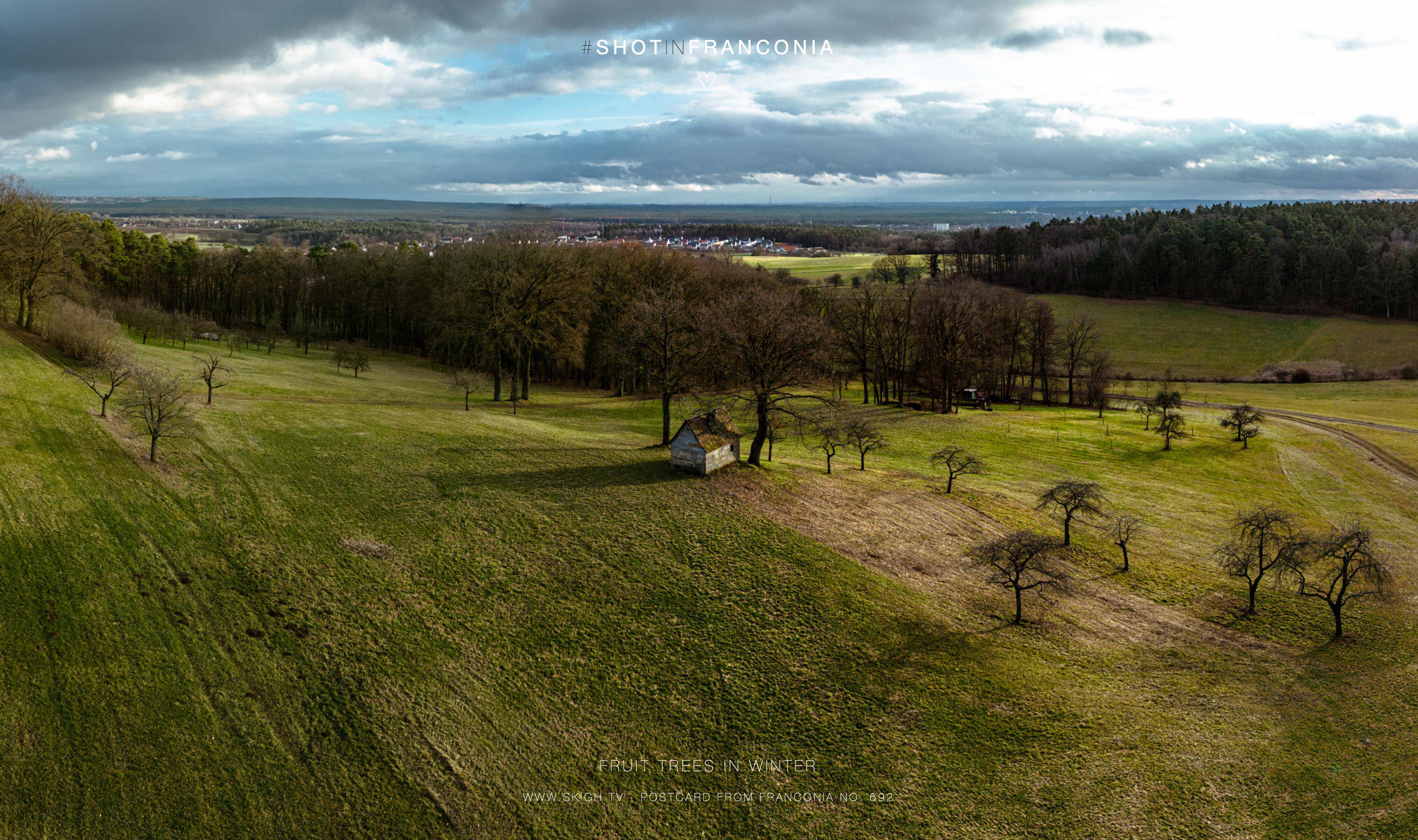 Fruit trees in winter | 1/800s * f1.7 * ISO 200 * 7mm - 6.7 mm f/1.7 - DJI Mini 3 pro Fruit trees in winter
