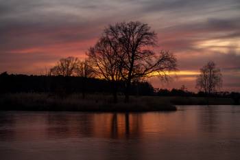 Frozen Neu Weiher