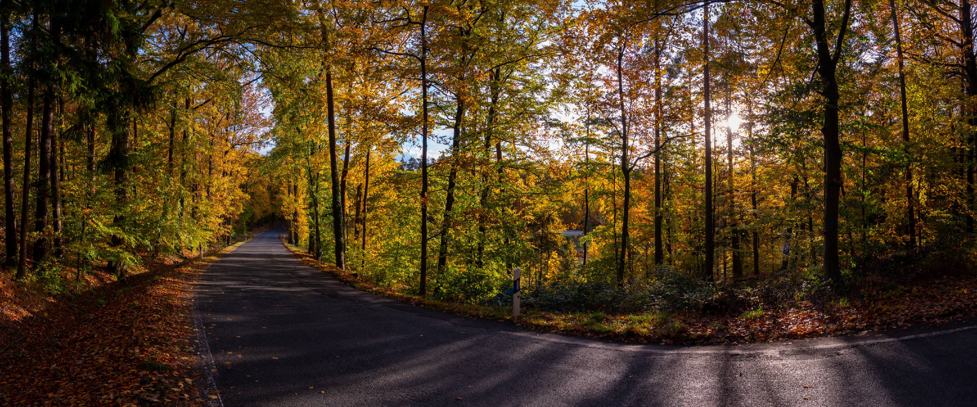 Coming from Rathsberg