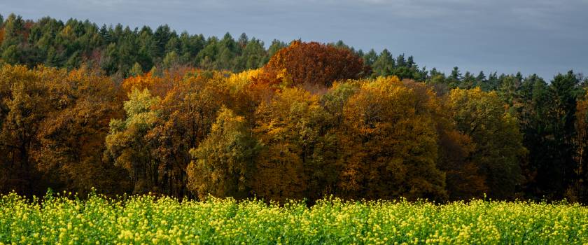 Wellucken | 1/500s * f5 * ISO 160 * 92mm - E 70-350mm F4.5-6.3 G OSS - Sony α6700 Wellucken