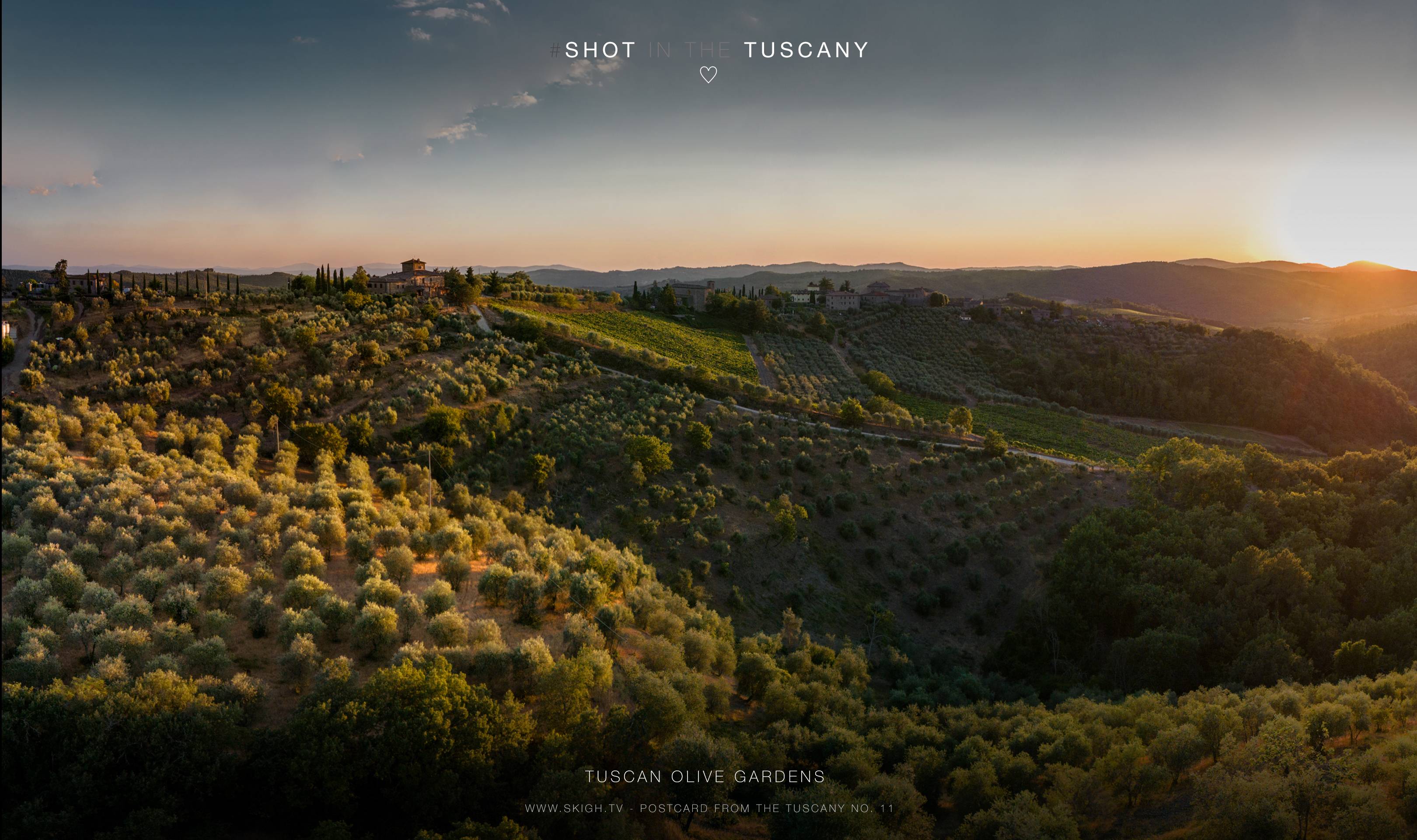 Tuscan olive gardens | 1/1000s * f1.7 * ISO 100 * 7mm - 6.7 mm f/1.7 - DJI Mini 3 pro Tuscan olive gardens